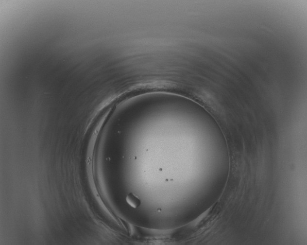 X0000061150111200511241841