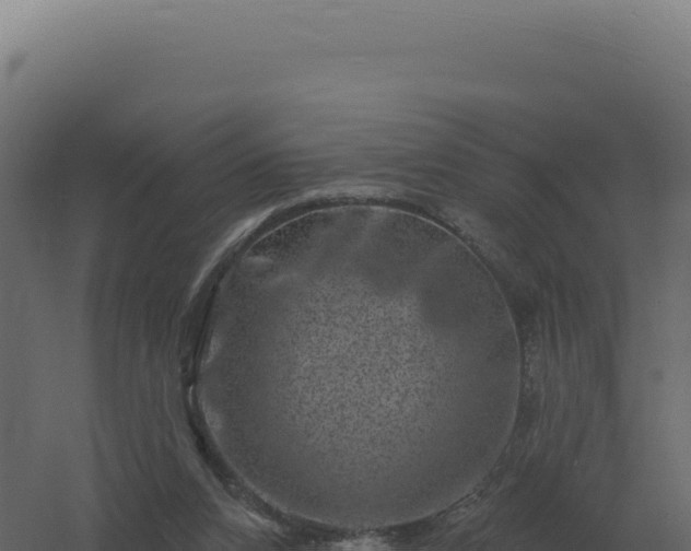 X0000061150112200511241841