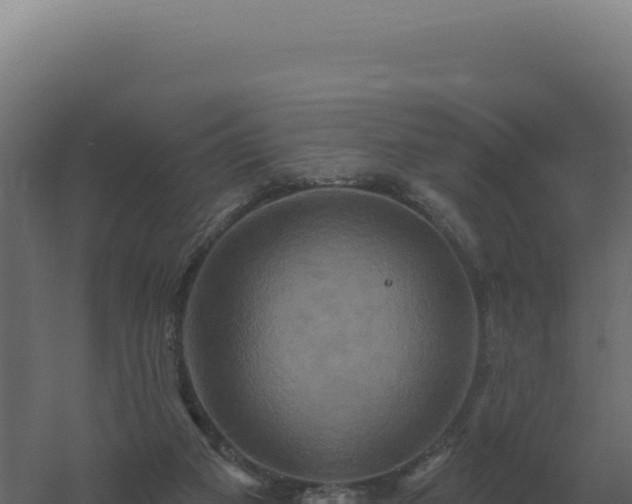 X0000061150113200511241841