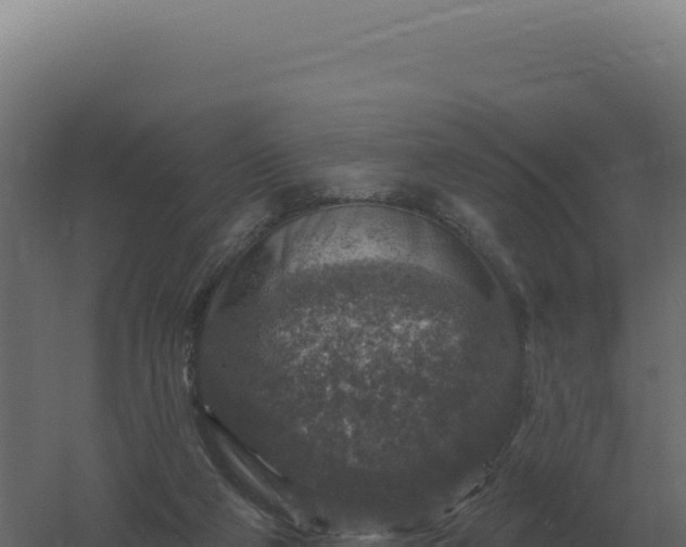 X0000061150114200511241841