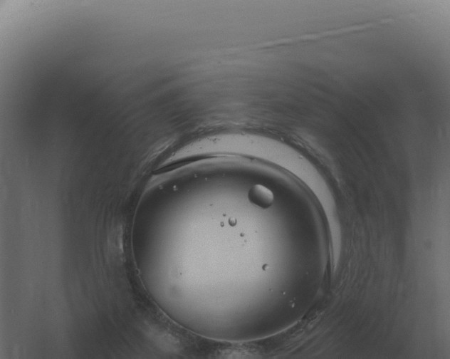 X0000061150115200511241841