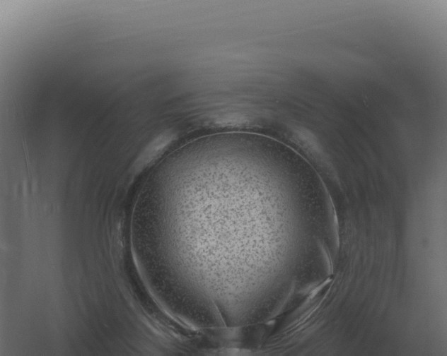 X0000061150116200511241841