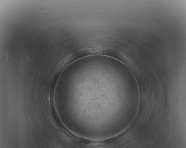 X0000061150117200511241841