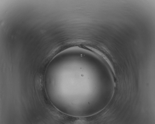 X0000061150119200511241841