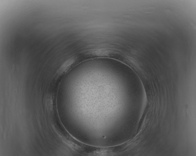 X0000061150120200511241841