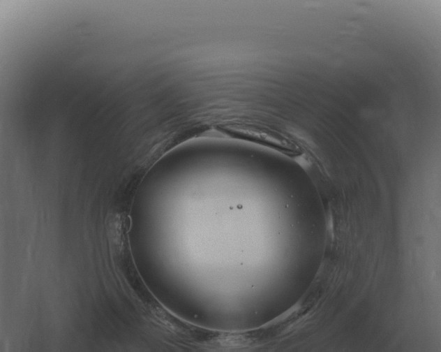 X0000061150121200511241841