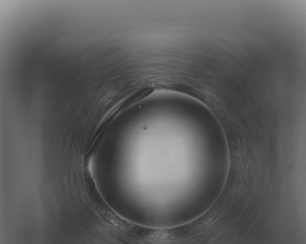 X0000061150123200511241841