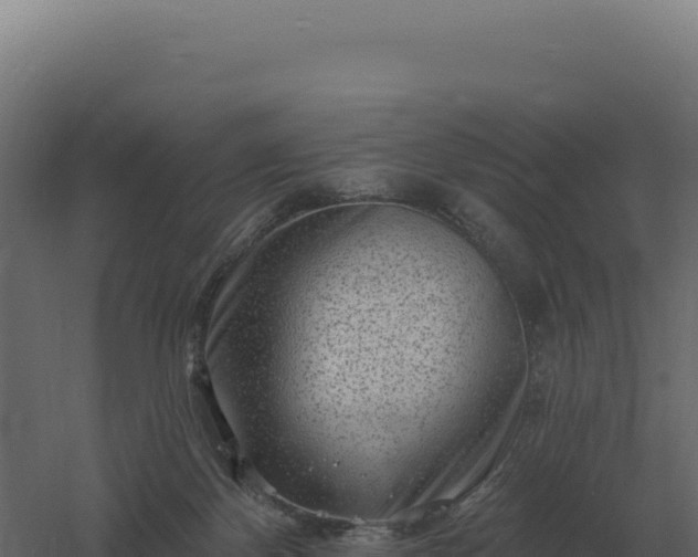 X0000061150124200511241841