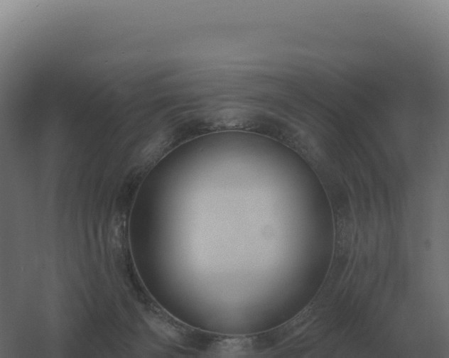 X0000061150126200511241841