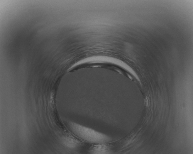 X0000061150127200511241841