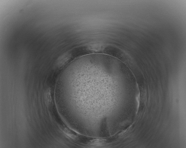 X0000061150128200511241841