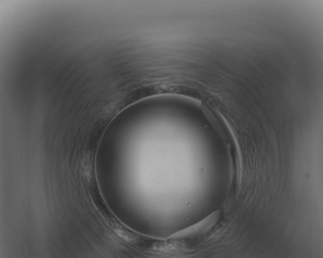 X0000061150129200511241841