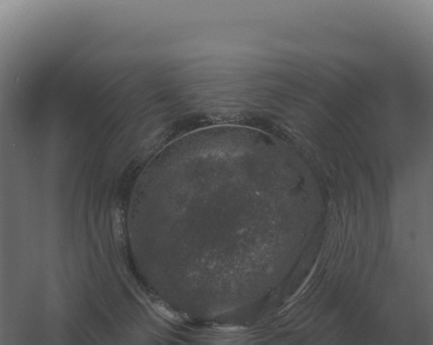 X0000061150130200511241841