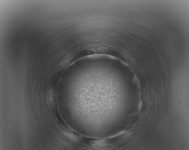 X0000061150132200511241841