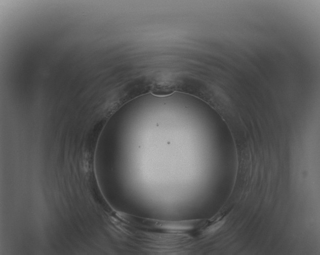 X0000061150135200511241841