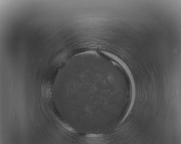 X0000061150137200511241841