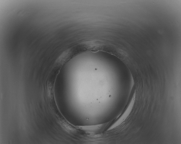 X0000061150138200511241841