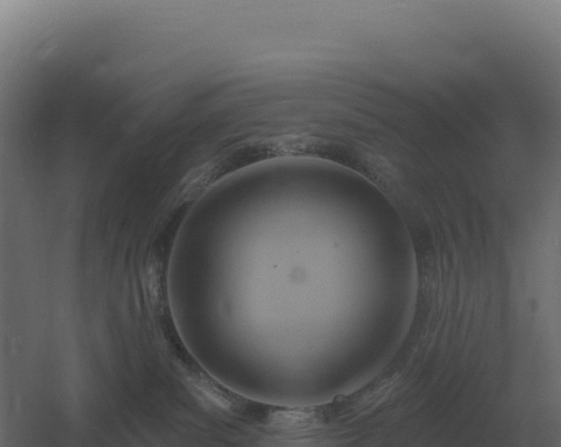 X0000061150139200511241841