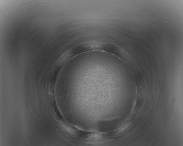 X0000061150140200511241841