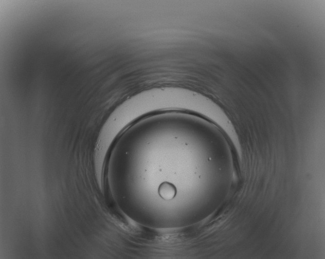 X0000061150141200511241841