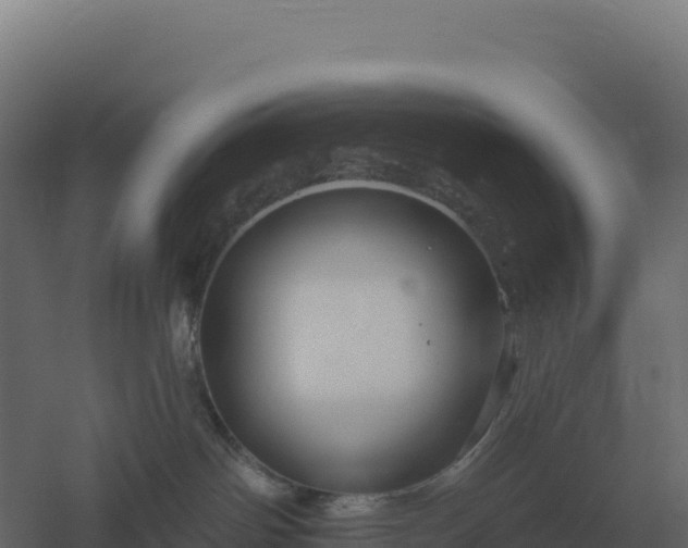 X0000061150142200511241841