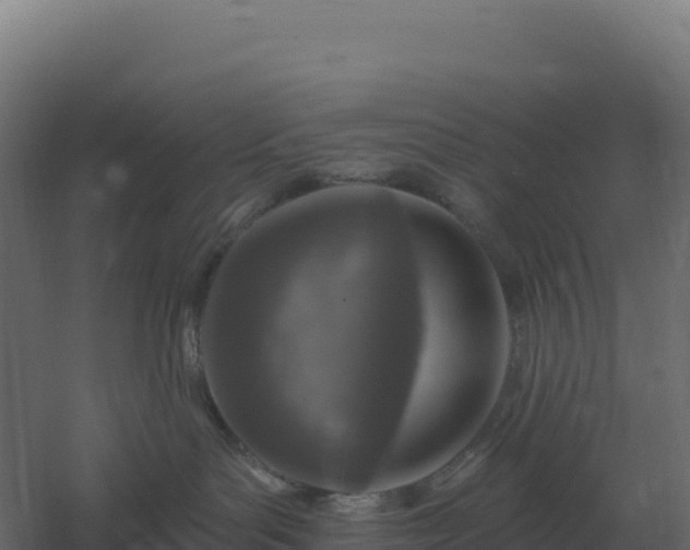 X0000061150143200511241841