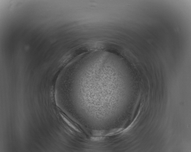 X0000061150144200511241841