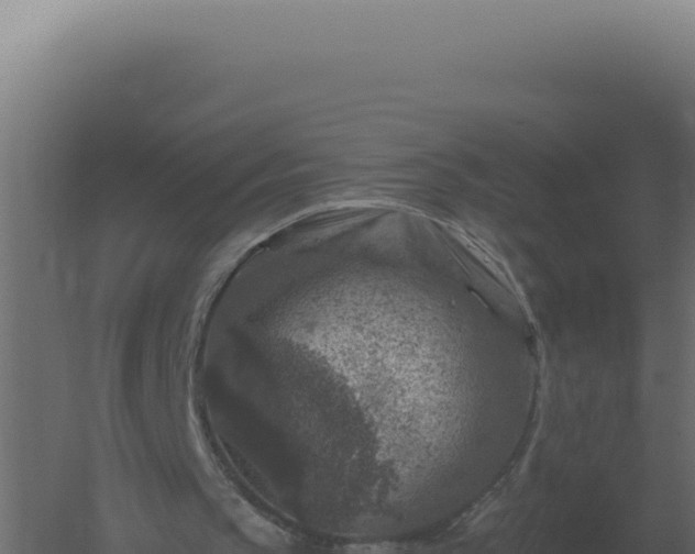 X0000061150145200511241840