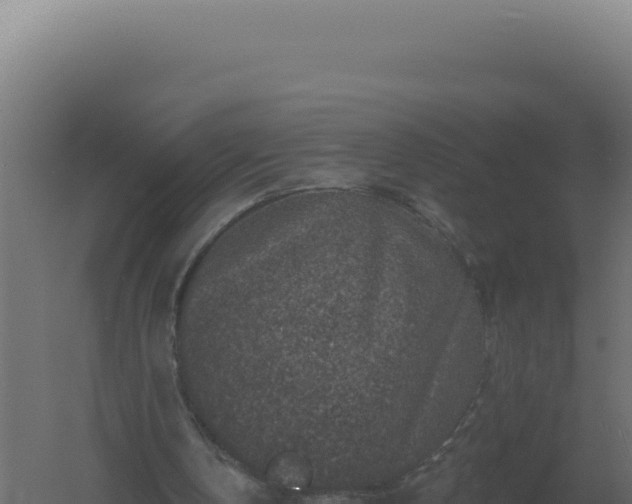 X0000061150146200511241840