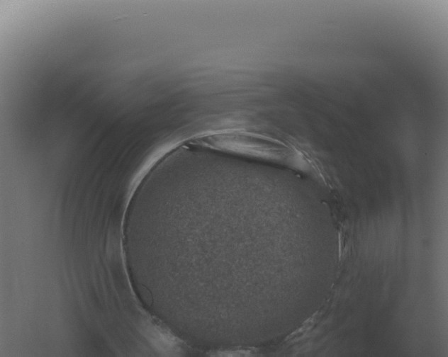 X0000061150147200511241840