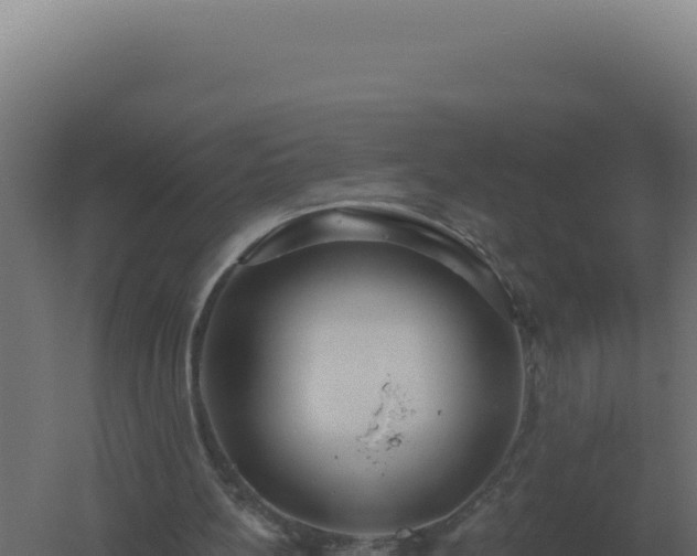 X0000061150148200511241840