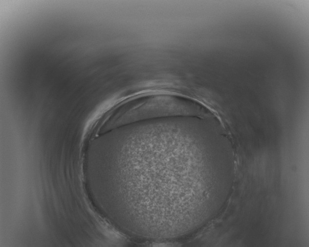 X0000061150149200511241840