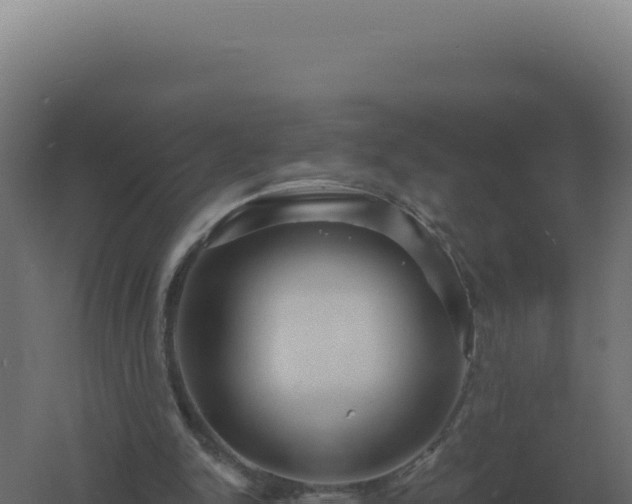 X0000061150150200511241840