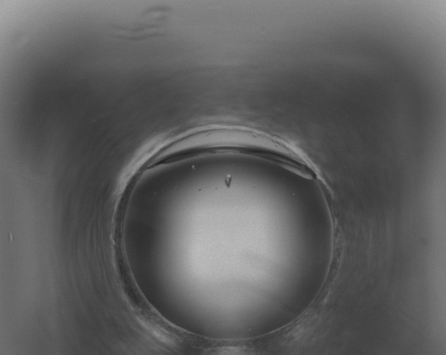 X0000061150151200511241840