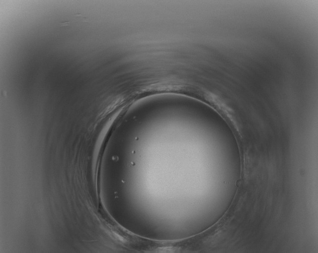 X0000061150153200511241840