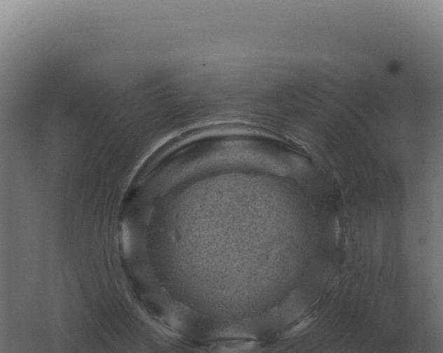 X0000061150156200511241840