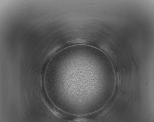 X0000061150157200511241840