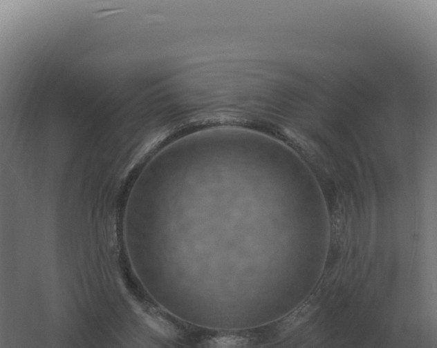 X0000061150158200511241840