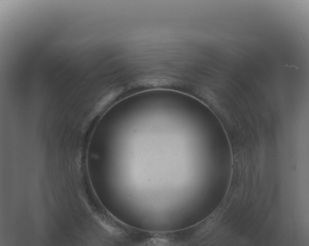 X0000061150159200511241840