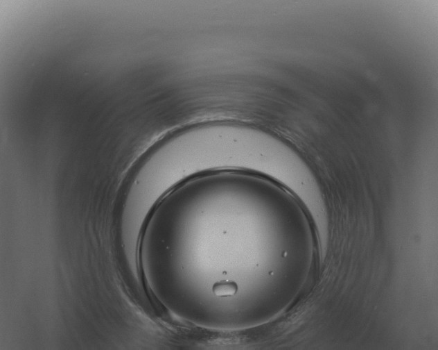 X0000061150160200511241840