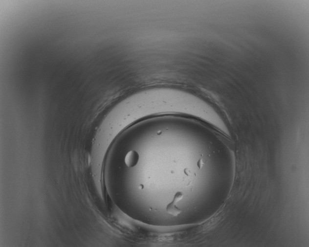 X0000061150162200511241840