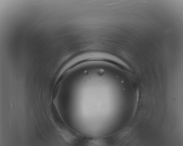 X0000061150164200511241840