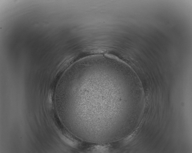 X0000061150166200511241840