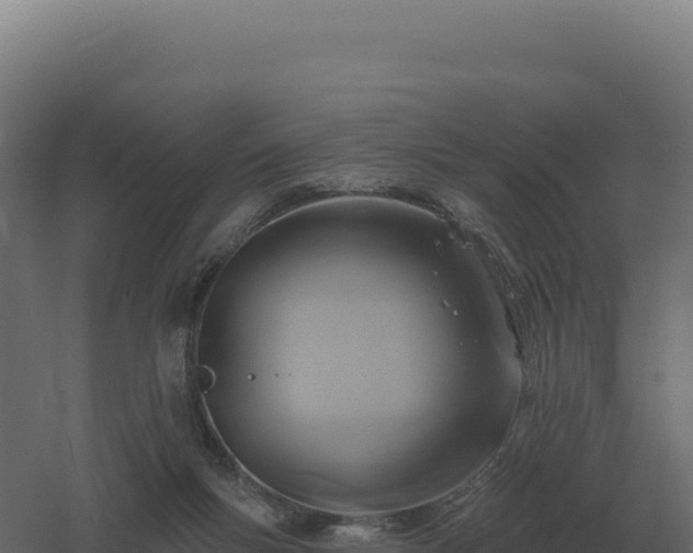 X0000061150167200511241840