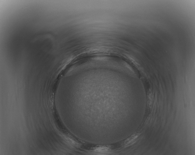 X0000061150168200511241840