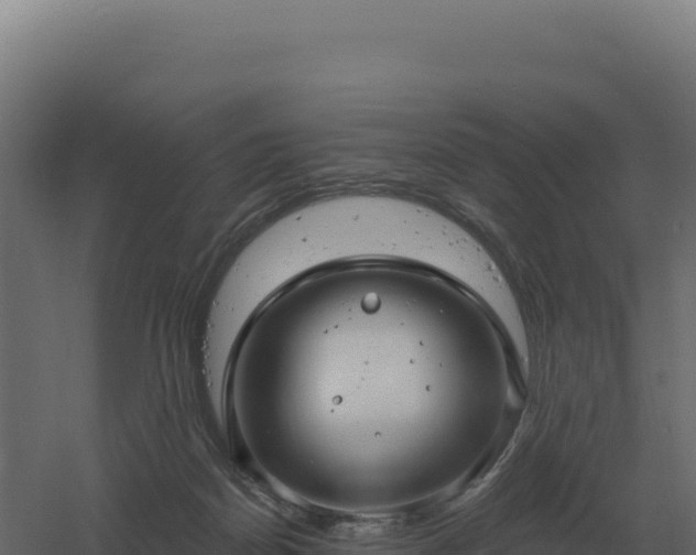 X0000061150170200511241840