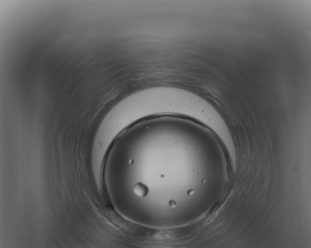 X0000061150171200511241840