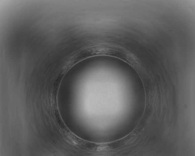 X0000061150173200511241840