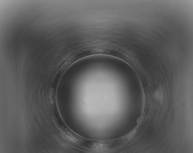 X0000061150174200511241840