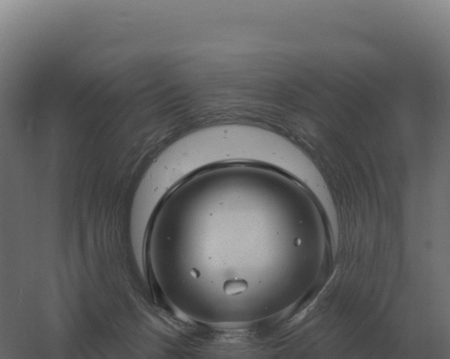 X0000061150175200511241840